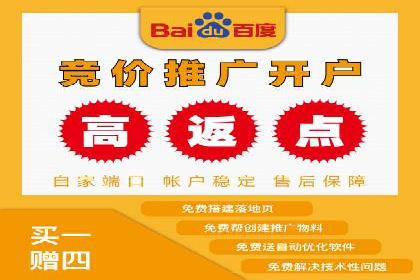 抖音信息流广告的投放策略与成功案例分析
